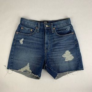 Urban Outfitters BDG Mid-Thigh Shorts 27